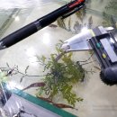 바브네이쳐 이미지