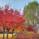 장촌공원 이미지