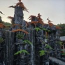 (주)애드림 | 충북 영동] 대전근교 카라반 별애드림 캠핑장