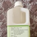 청정해수두부