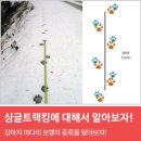 에스디애견미용학원