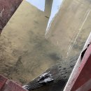 하말 | 하말 반딧불 투어 후기 | 기대보다 아쉬웠던 이유