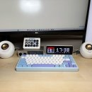 조약돌 스피커 PEBBLE 페블 화이트 청음 사용후기