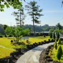 돌담연가 이미지