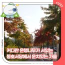 제실 화장실 | 커다란 은행나무가 서있는 동호서당에서 운치있는 가을-13기 정혜원 기자