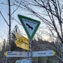 퓌센하우스 이미지