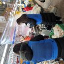 시장식품 이미지