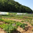 농업농장 이미지