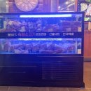 신의한소 이미지