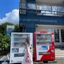 해바라기태양광 | [일본 여행] 삿포로 비에이 버스투어 예약 후기