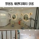 살롱 보헴 이미지