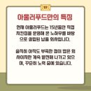 꺼구리푸드
