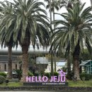 퍼스트렌트카 | 제주도 렌트카 추천｜퍼스트렌트카 후기 오픈카 4만원대 내돈내산 이용