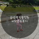 바닥분수 | 음성 봉학골정원 바닥분수후기