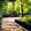 계남공원(배드민턴장) 이미지