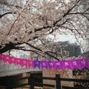 (주)케이헬스바이오 이미지