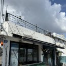 아이조아 캣파크 서울점 | 서울 핫플 이태원 놀거리 고양이카페 아이조아캣파크 애견카페 실내데이트