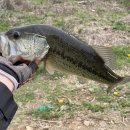 청도천6 이미지