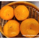귀한족발신제주점 이미지