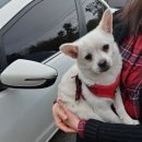 낙동북로 이미지