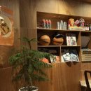 도우2호 이미지