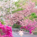 만수노인복지원 이미지