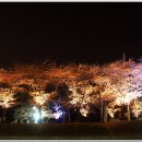 아리아리(주)
