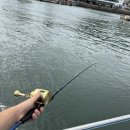 오시아 | 23 시마노 오시아 콘퀘스트 금콩 실사용 후기