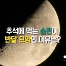 반달 이미지