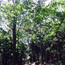 백양산 바람고개 이미지