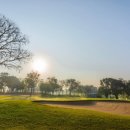 유니카트 이미지