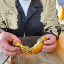 제주아트 서커스 | 2025.11.12 제주 아트서커스 관람 후기