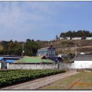 대포리 마을회관 티스토리