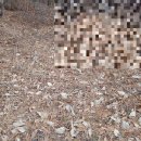 양지-3301 이미지