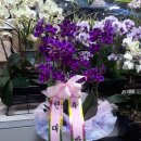 제이스덴탈 이미지