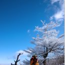 강원도/태백산 (해발 1,567m) 설경과 상고대&눈꽃축제장【14년1월26일】 이미지