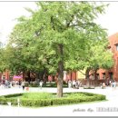 마로니에공원 이미지