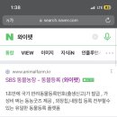 와이펫 네이버블로그