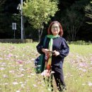 스토리박스 이미지