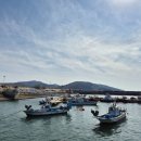 굴축제 | 남당항 새조개축제 천북굴단지 굴축제 다녀온 내돈내산 솔직후기