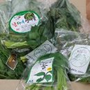 산나물농장펜션 이미지