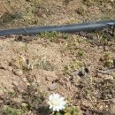 하얀농장 이미지