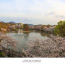 창녕 영산 만년교 이미지