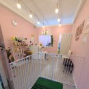 그루밍베베 이미지