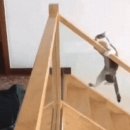 냥이놀이터 이미지