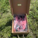 가벼운 | 페슈라 FESSURA SPEED 05 , 가벼운 데일리 러닝화 후기!