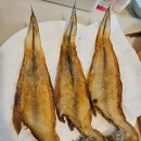 김한솔 PT샵 이미지