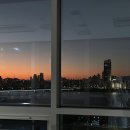 격동하는 서른의 봄맞이