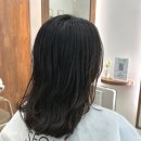 서인의뷰티헤어 | 원주혁신도시미용실 애견동반미용실 서인의뷰티헤어 클리닉 솔직후기