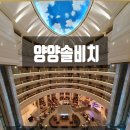 워터플레이 더테라스지점 | 양양 솔비치 아이랑 나들이(feat.이그제큐티브 오션뷰 패밀리 트윈 객실,오션플레이 워터파크)